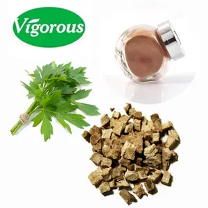 Chinese herb rhizoma ligusticum chuanxiong extract levisticum officinale root powder(lovage root extract)