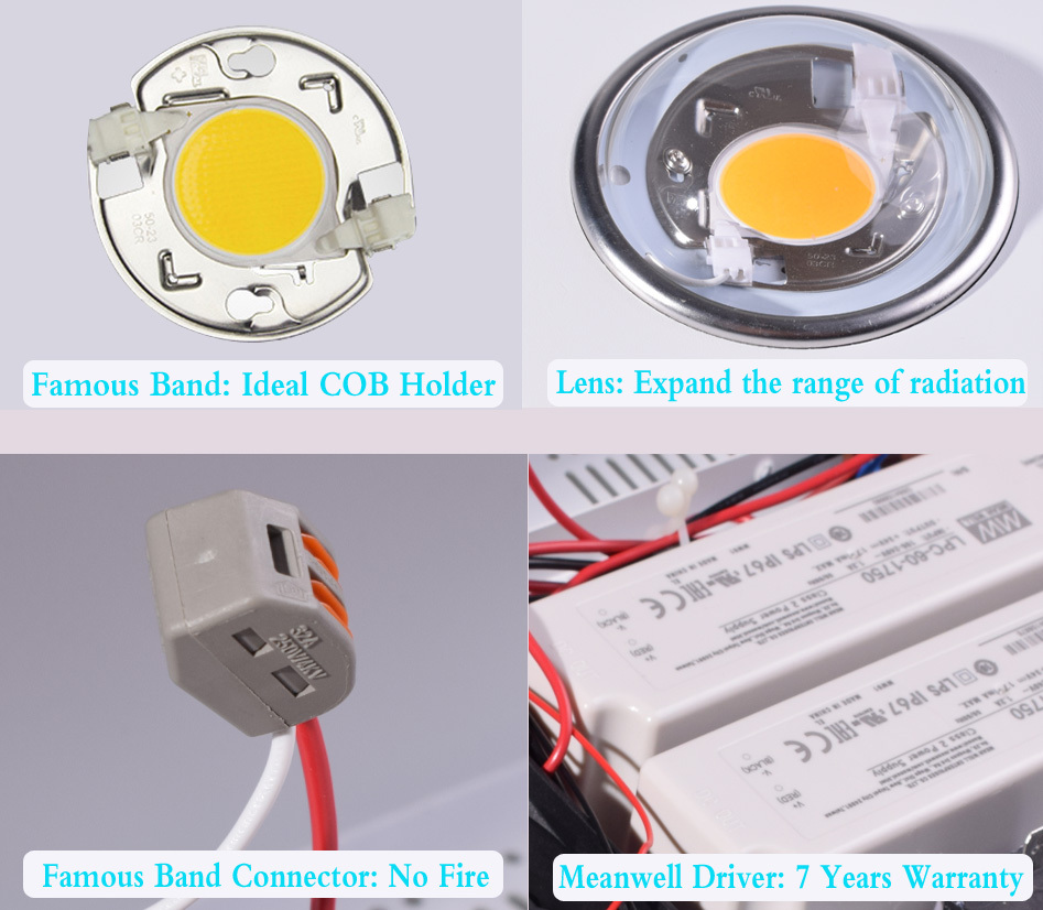 Spectre complet Pousser La Lumière LED pour Les Serres et Les Jardins 100 W COB A MENÉ LA Lampe De Croissance