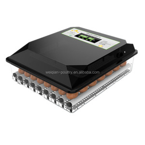 Đầy Đủ Tự Động Lồng Ấp Nhỏ Loại Mới 128 Trứng Lò Ấp Trứng Gia Cầm <span class=keywords><strong>Hatching</strong></span> Máy Bán - Product Image 2