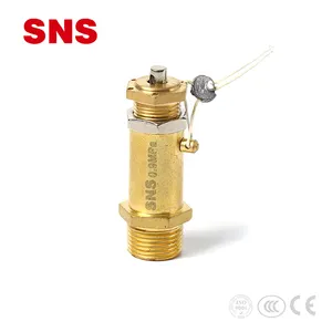 Профессиональный предохранительный латунный клапан SNS для воздушного компрессора