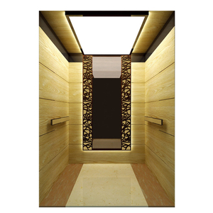 Produsen Lift Lift/Escenseur Rumah Sakit/Aufzug/Fahrstuhl/Elevador Ascensor (FJY8000) - Product Image 6