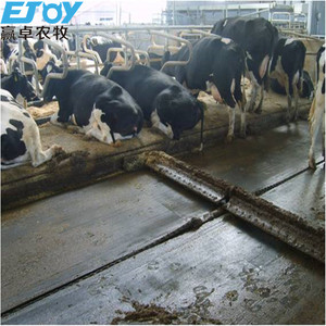 Nuova struttura prefabbricata in acciaio per mucche professionale per azienda lattiero-casearia soluzione chiave per il marchio EJOY 1.5 anno di garanzia - Product Image 6