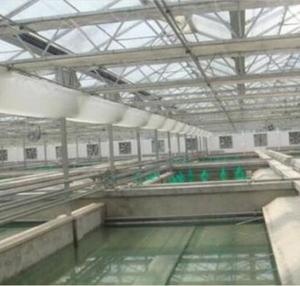 Gewächshaus struktur mit Fisch-und Gemüseanbau system - Product Image 5