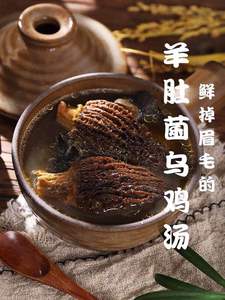 Moge ferme champignons, couleur noir, vente en gros, usine - Product Image 5