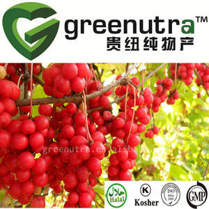 extracto de magnolia china - Product Image 1