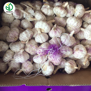 Cung Cấp Tỏi Trung Quốc Trong <span class=keywords><strong>Container</strong></span> Cá Hồi 40ft - Product Image 3