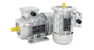 Ys6312 <span class=keywords><strong>Ys</strong></span> Serie Aluminium Omhulsel Asynchrone Inductie Driefasige Tandwielmotor 380V 110-760V Ie2 Efficiëntie Ccc Ce Gecertificeerd - Product Image 4