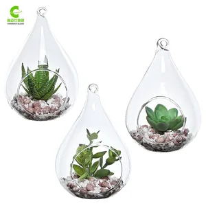 Großhandel Handblown Teardrop Hängen Glas Terrarium