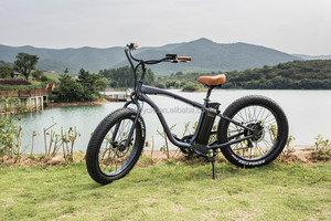 With EN15194 <span class=keywords><strong>bosch</strong></span> electric bike with hub motor - Product Image 6