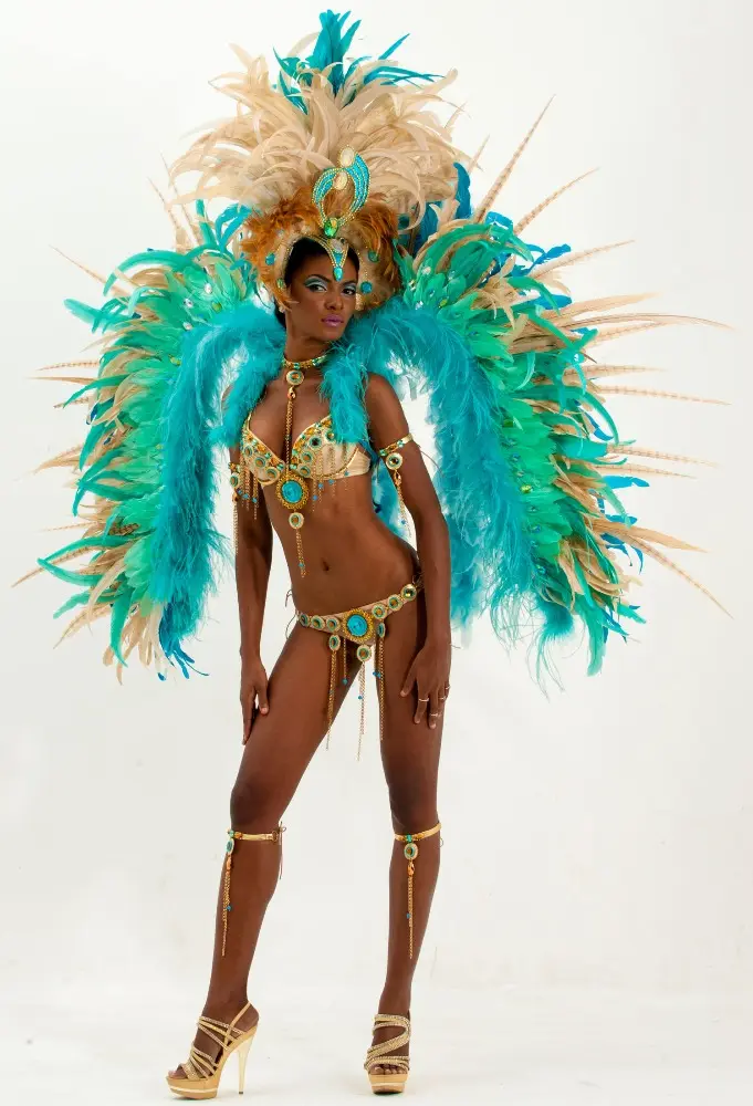 Disfraz Sexy de moda con alas de plumas, disfraz de Carnaval de samba