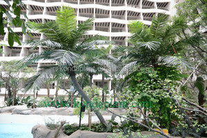 Accueil Jardin decovative cocotier arbre en plastique artificielle palmier dattier - Product Image 3