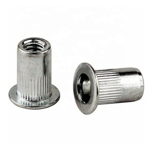 Free Sample Customized M4 - M16 Stainless Steel Metal Knurled <strong>Rivet</strong> <strong>Nut</strong> - Product Image 5