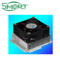 Kit de réfrigération semi-conducteur Peltier DIY pour électronique intelligente, climatisation à eau, réfrigérateur électronique 12V, dissipateur CPU