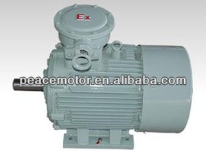 motor ametek - Product Image 1