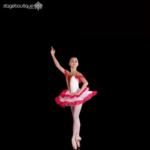 Nylon Spandex Chinois <span class=keywords><strong>Classique</strong></span> Performance <span class=keywords><strong>blanc</strong></span> Swan Lake ballet <span class=keywords><strong>justaucorps</strong></span> pour enfants - Product Image 1