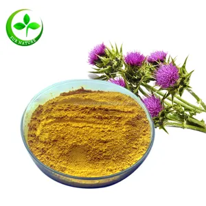 Good supplier with milk thistle extract powder, Silymarin