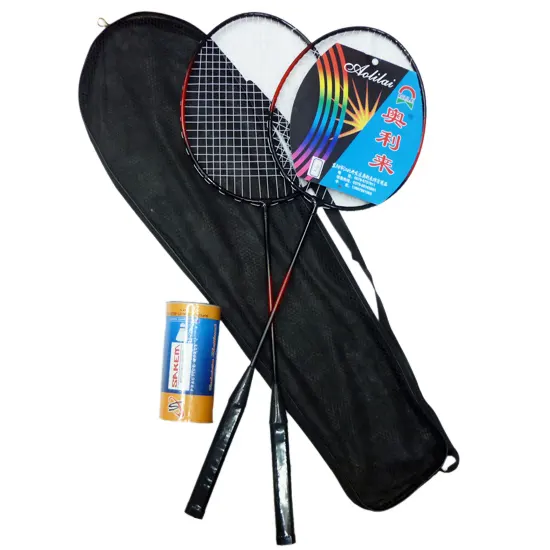 Hot Verkoop Groothandel Goedkope Prijs Staal Custom Made Ijzer Badminton Set Racket