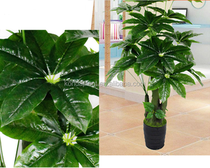 Material de plástico artificial fake wholsale dinero árbol de los <span class=keywords><strong>bonsai</strong></span> - Product Image 3