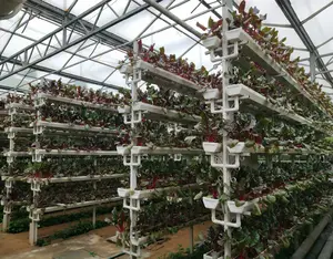 Niedrigen kosten landwirtschaft hydrokultur PC Blatt gewächshaus für erdbeere/tomaten/salat/gurken wachsen