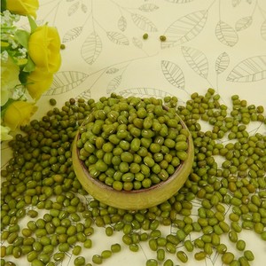 Especificaciones de los granos verdes Mung de exportación - Product Image 6