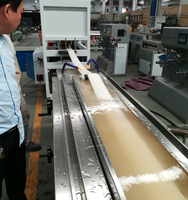 Machine d'extrusion de bande d'étanchéité en PVC/SPVC/TPE/TPV/TPO/TPU / Ligne de production de joints de porte pour fenêtres, portes ou voitures
