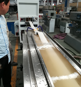 PVC/SPVC/TPE/TPV/TPO/TPU niêm phong dải máy đùn/cửa gasket sản xuất khung khung dòng cho cửa sổ và cửa hoặc xe - Product Image 2