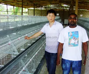 Cage de batterie de couche de poulet pour le poulet de couche populaire sur le marché africain