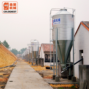 2025 Hot Sell New Goldenest Factory Design Automatic <strong>Chicken</strong> Rearing Equipment/Poultry Control Shed 1000 Shandong <strong>Origin</strong> - Product Image 3