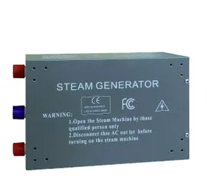 Micro generatore di vapore( 2kw)