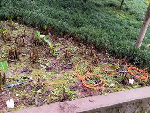 Geo Prospectie Instrument 2D en 3D Weerstand Tomography IP Exploratie Systeem - Product Image 5