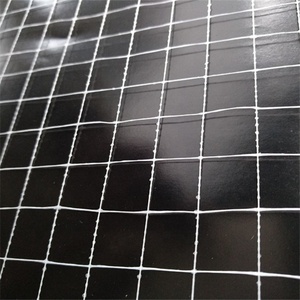 ไฟเบอร์กลาสน้ำหนักต่ำวาง <span class=keywords><strong>Scrim</strong></span> - Product Image 6