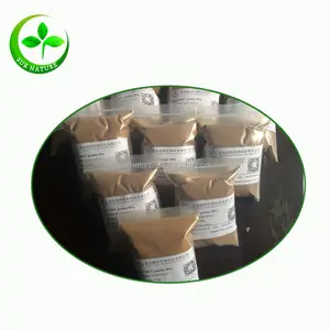 Poudre d'<span class=keywords><strong>ahcc</strong></span> de composé corrélé par Hexose actif de haute qualité/extrait de champignon de <span class=keywords><strong>Shiitake</strong></span> - Product Image 1