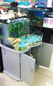 Reptile Plate-Forme Flottante Tortue Tortue Tortue Terrarium Aquarium Réservoir Déco - Product Image 5