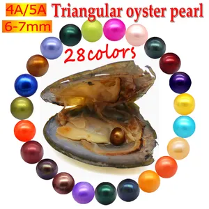 Wholesale 6-7 mm 4A grade Round freshwater akoya Pearl Oyster 1pcs dyed pearls are in the oyster