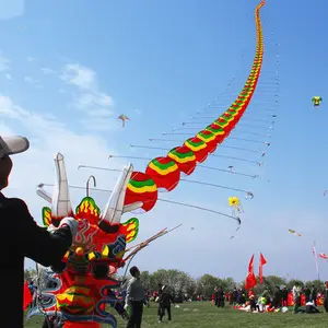 Kite do dragão tradicional chinês personalizado para crianças