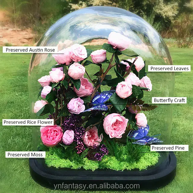 Fornitore della cina Per Sempre Conservato Rosa Fiore Fiori Freschi in Gigante Cupola di Vetro