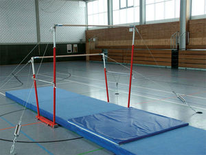 Equipo de Gimnasia Barras Asimétricas Paralelas Marca Jiahe Modelo 50652 a la Venta - Product Image 4