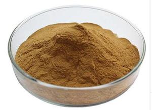 Tinh Khiết Tự Nhiên Peumus Bolus Chiết Xuất Boldo Leaf Extract - Product Image 3