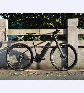 Brand Electric mountain bike frame 2018 new 29er hardtail E bike E-01 Bafang motor battery MTB bike frame