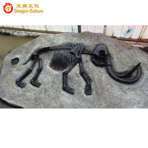 Museo encargo al por mayor trilobite fósiles para la venta - Product Image 3