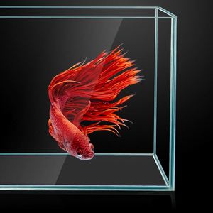 Sunsun HE Series Système de filtre arrière en verre ultra-blanc personnalisé multi-tailles pour <span class=keywords><strong>aquarium</strong></span> - Product Image 5