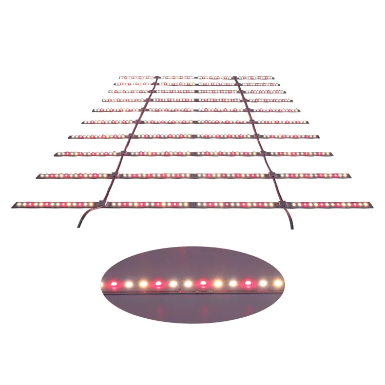 50000 Uur Levensduur LED Rooster Ladder Bar Enkele led grow light strip 24 volt 48 volt 12 watt 12 w plant growlights lamp