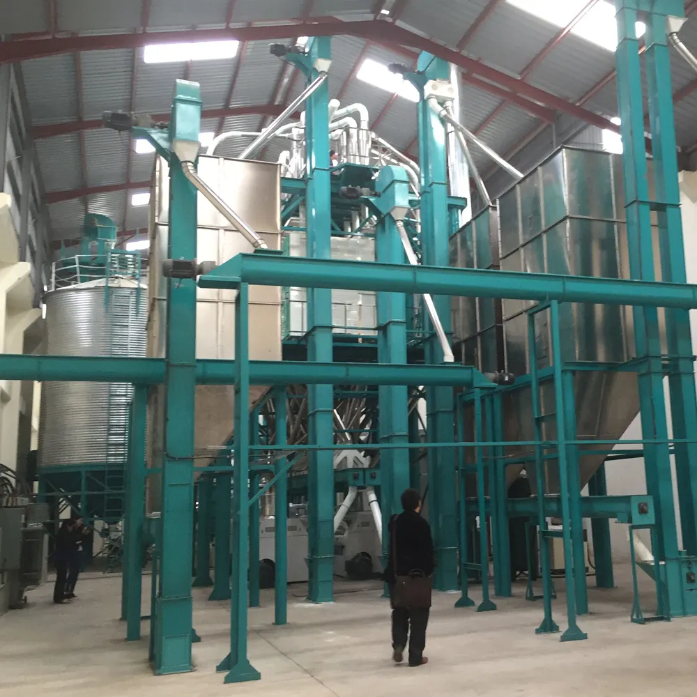Máquina de molino de harina de trigo 200t/24h estándar europeo en Zambia nueva instalada