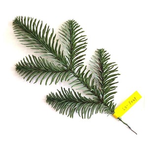 Ramas navideñas Greentree | Ramas <span class=keywords><strong>de</strong></span> plástico <span class=keywords><strong>de</strong></span> pino a la venta - Product Image 1