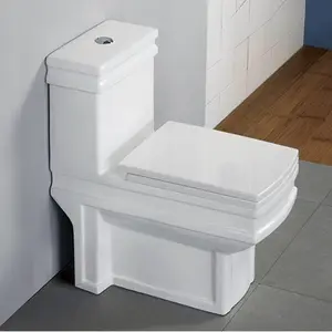 Salle de bain en céramique, prix de toilette de luxe carré, style occidental