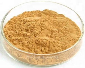 Extracto Herbal de Ginkgo Biloba 100% Natural en Polvo, Precio de Fábrica, Marca BOZEWON, Grado para <span class=keywords><strong>Dilatar</strong></span> <span class=keywords><strong>Vasos</strong></span> <span class=keywords><strong>Sanguíneos</strong></span>, Mejora la Memoria, Empaquetado en Tambor - Product Image 3