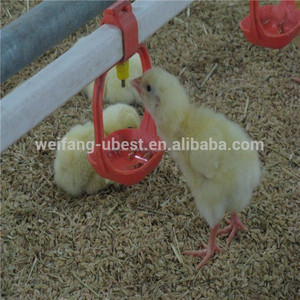 Automatique volaille farm barn équipement pour poulets de chair - Product Image 6