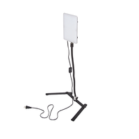 Kit d'éclairage de studio continu portable avec ampoules 65W 5500K