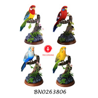 Jouet pour oiseaux Jacko Toys, en plastique, fonctionnant sur piles, avec enregistrement sonore, magnifique jouet perroquet