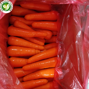 Bán Buôn Đông Lạnh Cà Rốt Giá Rẻ Xuất Khẩu Chất Lượng Cao Đông Lạnh Rau - Product Image 3